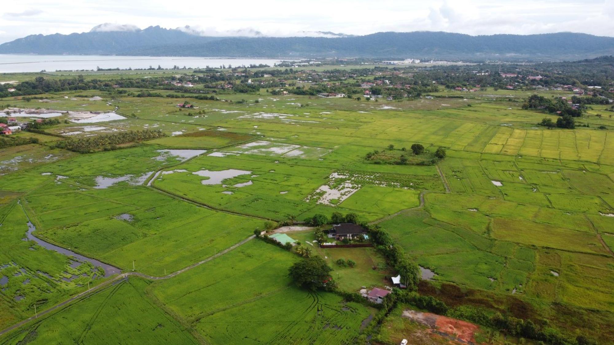 Villa Tempoyak Homestay Pantai Cenang  Esterno foto
