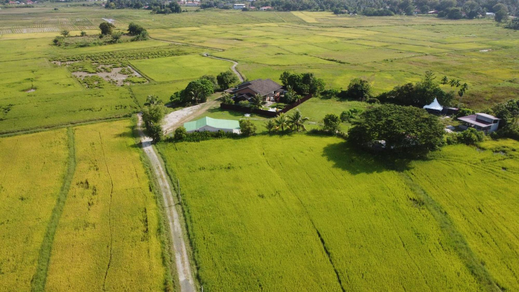 Villa Tempoyak Homestay Pantai Cenang  Esterno foto