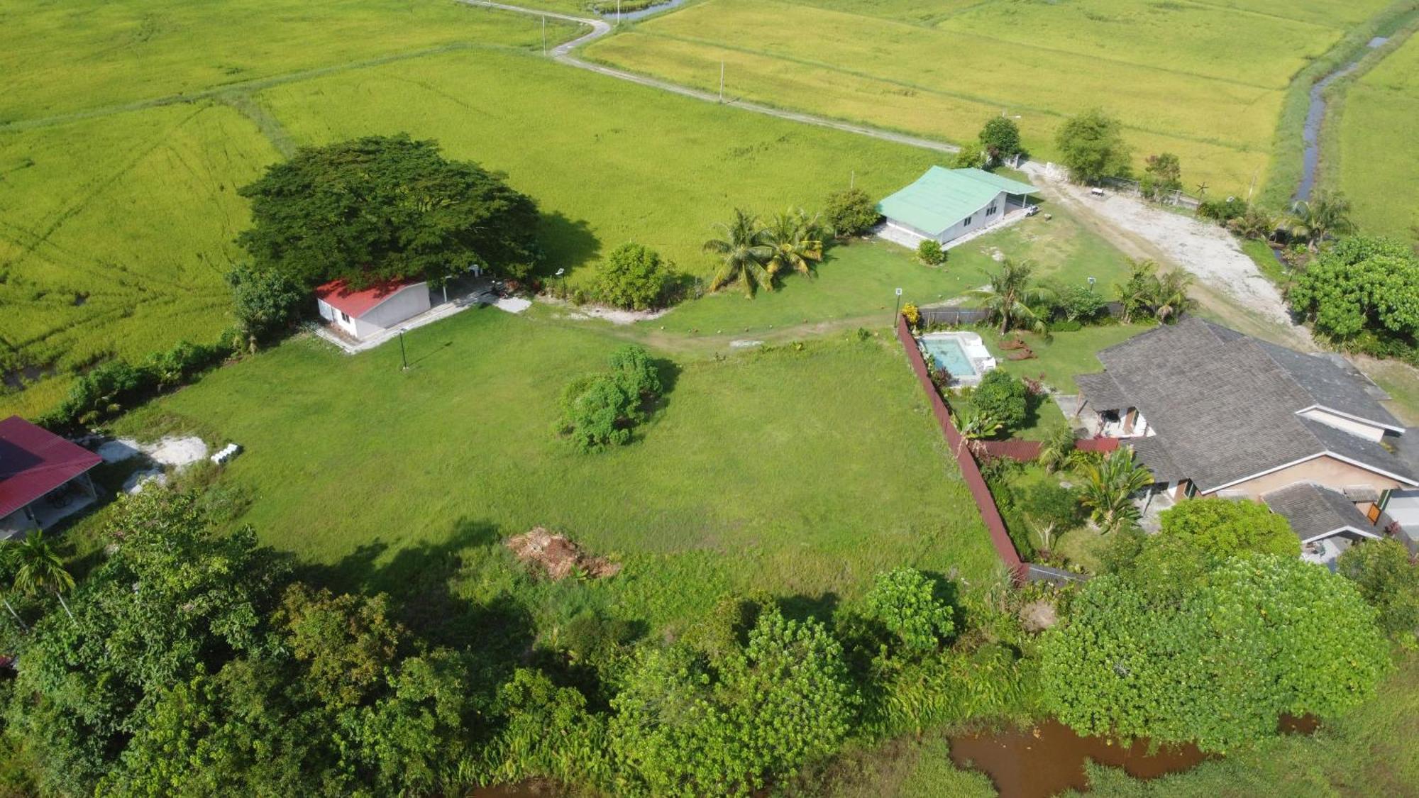 Villa Tempoyak Homestay Pantai Cenang  Esterno foto