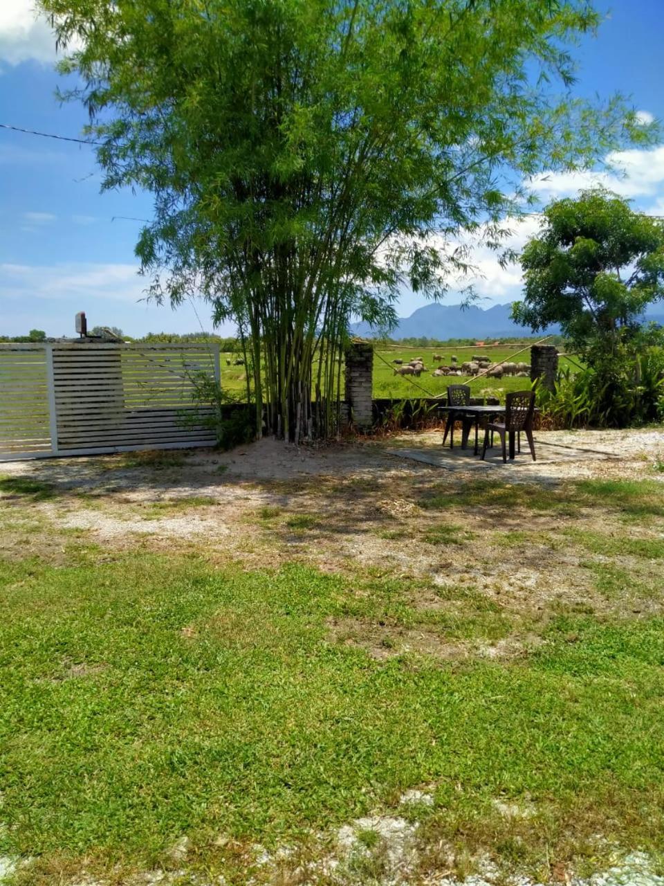Villa Tempoyak Homestay Pantai Cenang  Esterno foto