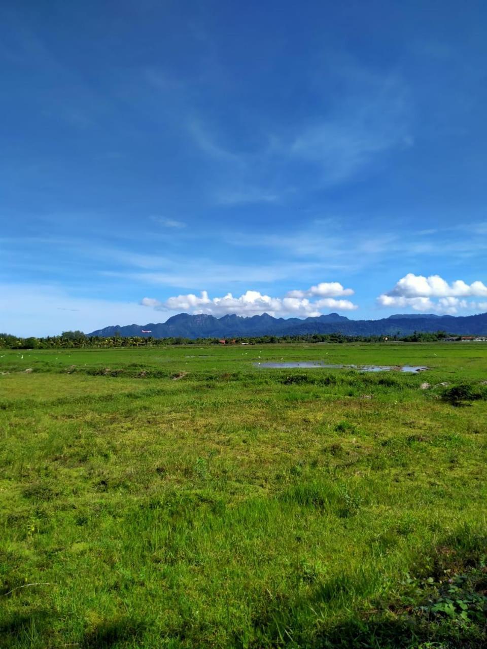 Villa Tempoyak Homestay Pantai Cenang  Esterno foto