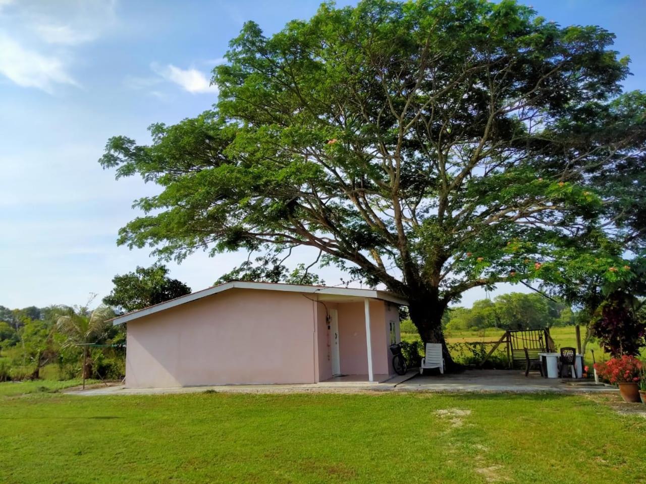 Villa Tempoyak Homestay Pantai Cenang  Esterno foto