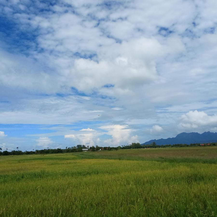 Villa Tempoyak Homestay Pantai Cenang  Esterno foto