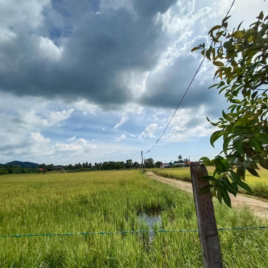 Villa Tempoyak Homestay Pantai Cenang  Esterno foto